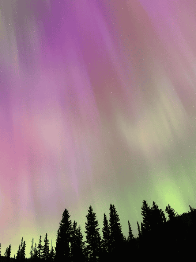 Northern Lights aurora boreali